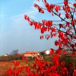 L'autunno
